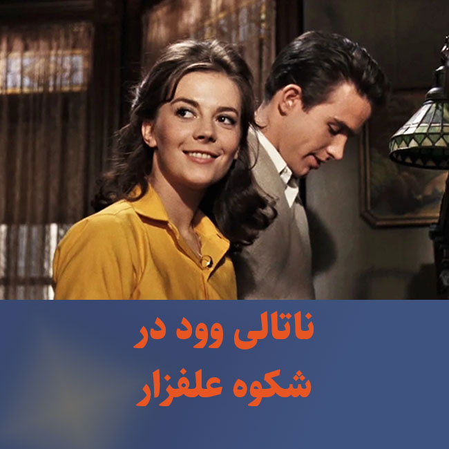 insta31nama 0609011502.jpg