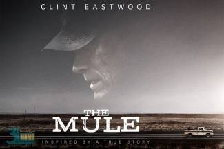 معرفی فیلم The Mule« قاچاقچی»2018 / تنها چیزی که نمی شود خرید، زمان است