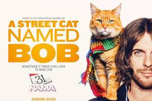 معرفی فیلم گربه خیابانی به نام باب / تجربه زندگی نوازنده خیابانی با یک گربه