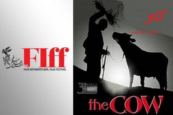 نمایش تصاویر دیده نشده از پشت ‌صحنه و تست بازیگری فیلم «گاو» در جشنواره جهانی فیلم فجر