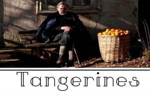 معرفی فیلم «نارنگی ها» (Tangerines) / نامزد گرجستان در بخش بهترین فیلم خارجی اسکار