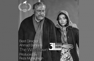 احمد بهرامی با «شهر خاموش» بهترین کارگردان جشنواره شب‌های سیاه تالین شد / جایزه بزرگ به &quot;سفر با مامان&quot; رسید