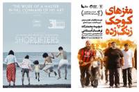 نمایش فقر در سینمای ایران و نمایش فقر در سینمای جهان /تصویر درد با تشدید: 